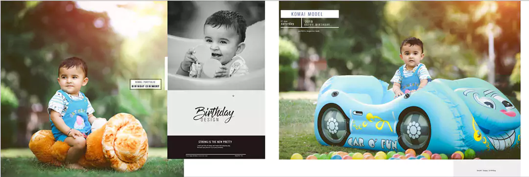 Birthday Album 12 x 36 Designs ideas